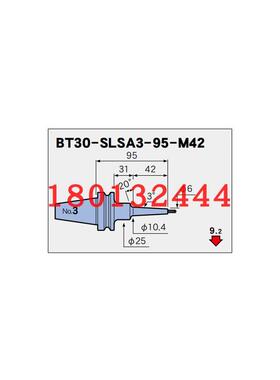 BT30-SLSA3-60-M22 75-M22 95-M42日本MST恩司迪热装刀柄询价订货