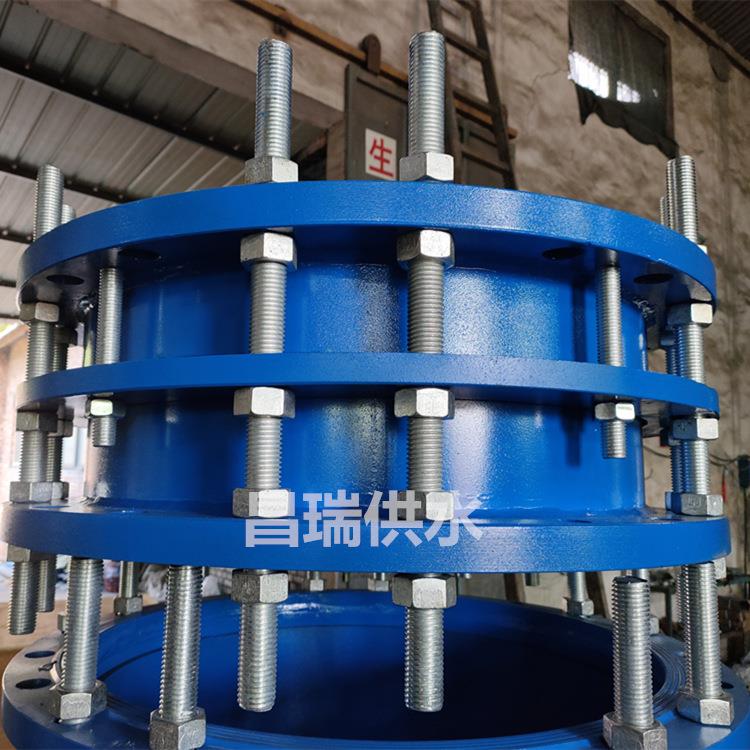 双法兰传力接头C2F型 供水管道双法兰松套传力接头 传力伸缩器PN6