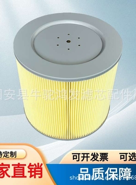 电动扫地车除尘滤芯滤筒环卫车滤芯清扫车除尘滤芯防水滤芯350315