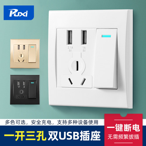 单控开关双USB插座10a二口充电
