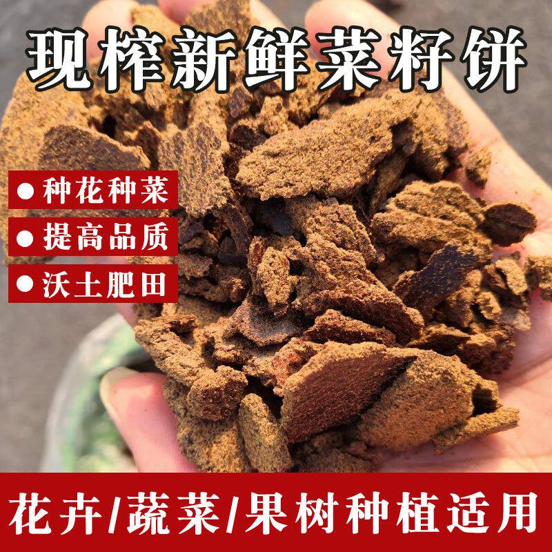 菜籽油饼农家菜枯打窝油菜饼菜籽有机肥营养土肥料钓鱼油枯养花用