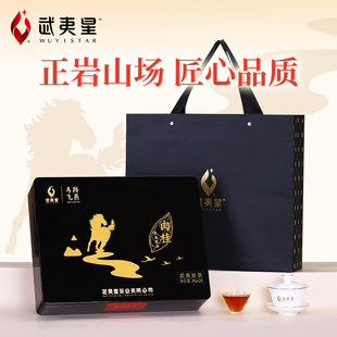武夷星大红袍马踏飞燕160g马头岩肉桂武夷正岩茶叶特级送礼礼盒装