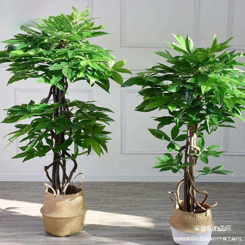 仿真发财树盆景真树杆环保人造植物落地家庭布景花卉入户花园招财