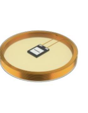 图尔克TW-R9.5-B128数据载体载码体RFID标签7030252