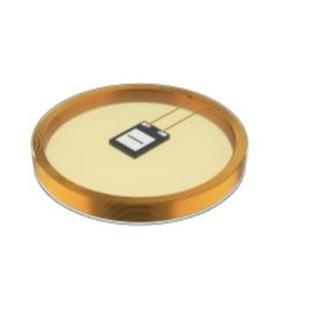 体RFID标签7030252 B128数据载体载码 图尔克TW R9.5