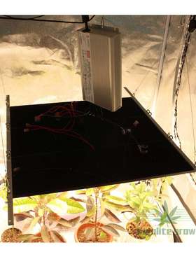 600W LM301H + 660nm uv ir Quantum LED Board 量子板植物灯