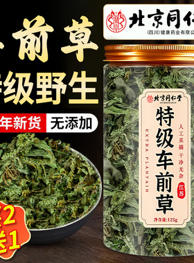 特级车前草中药材北京同仁堂四川朕皇野生干货官方旗舰店养泡茶xl