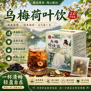 乌梅荷叶饮消消茶官方旗舰店正品山楂消消茶饮代用茶1yb