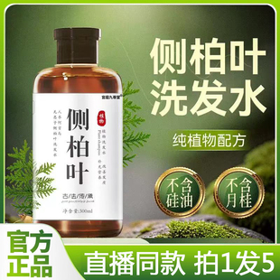旗舰店草本萃取清新甄选好品质直播同款 侧柏叶洗发水官方正品 1BC