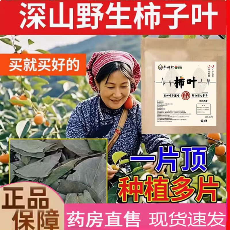 野生柿子叶直播同款鲜摘柿叶晒干用官方旗舰店正品药房直售2mn
