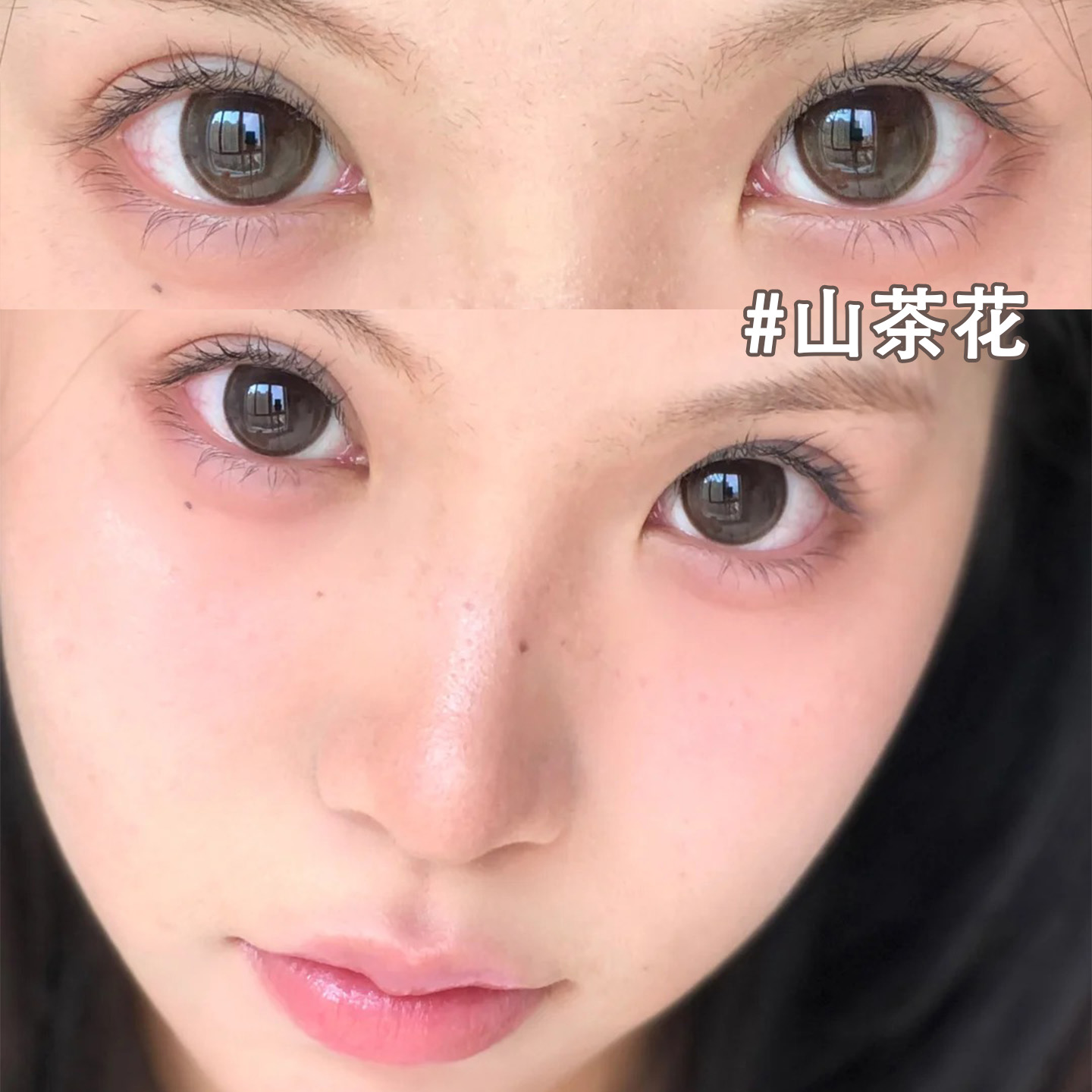 jellydoll山茶花美瞳玉蓝青花可可球半年抛棕色大直径隐形眼镜8ST