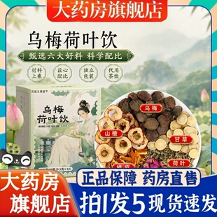 乌梅荷叶饮茶官方旗舰店正品陈皮甘草山楂玫瑰女生代用茶1dd