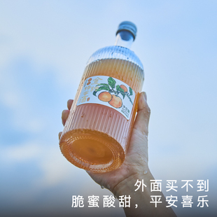艾格吃饱了金桔蜂蜜酒风味浓郁浸皮萃取微辣高度数果酒