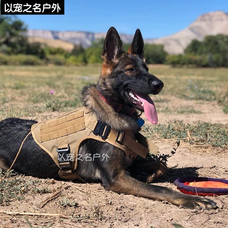 狗战术胸背带牵引绳背心式遛狗绳中大型犬金毛德牧马犬防暴冲衣服