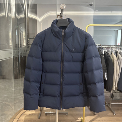 H家厚款简约商务休闲立领羽绒服