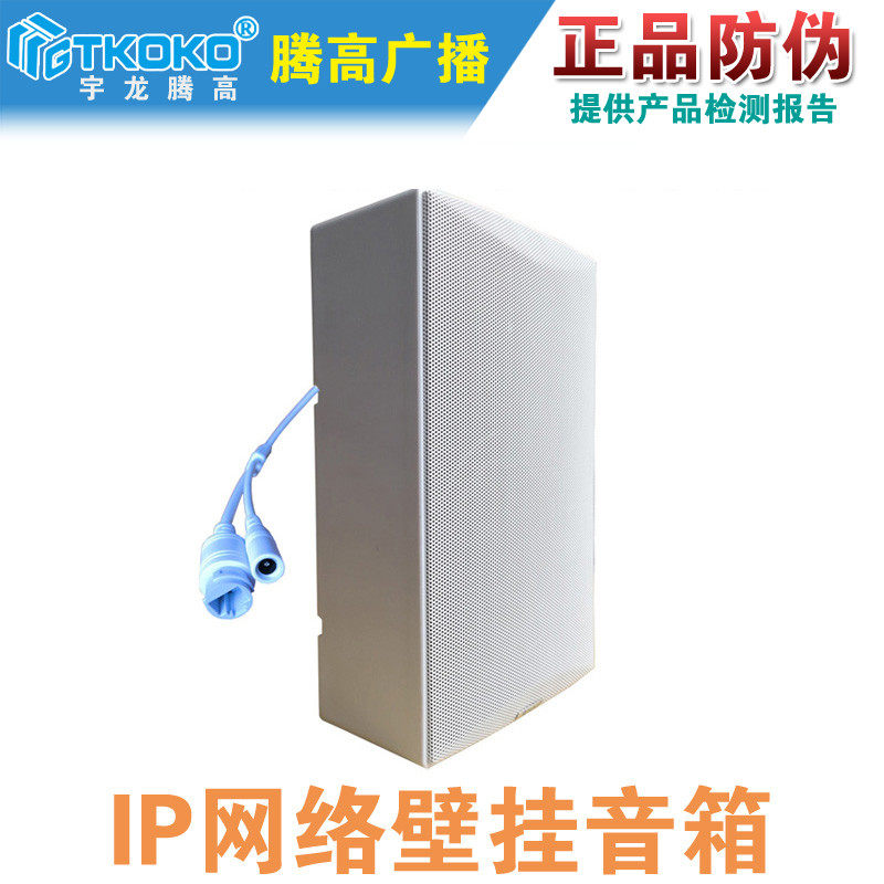 NCX-P20AII IP网络有源壁挂音箱喇叭解码终端智能数字广播腾高
