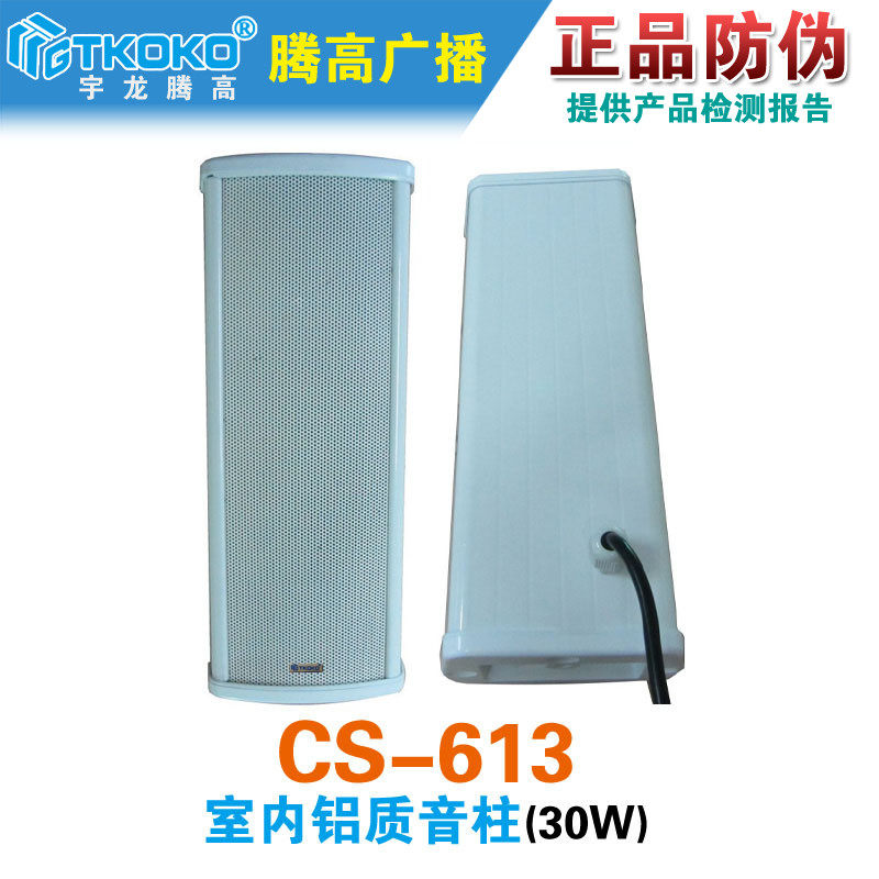 CS-613室内音柱30W定压喇叭铝质扬声器背景音乐广播系统腾高原装
