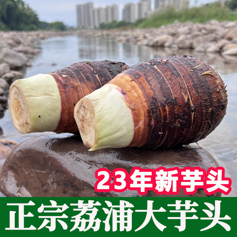 正宗广西荔浦市芋头现挖新鲜槟榔芋毛...