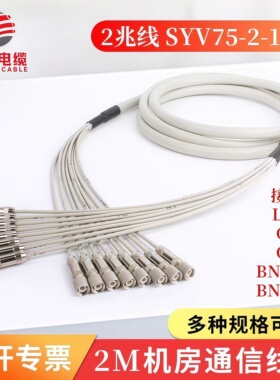 2兆线SYV75-2-1*8跳线8芯DDF线L9-2-1插头bnc插头CC4Y2M线BNC转L9