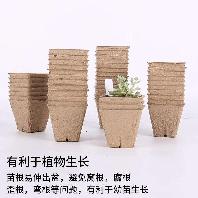 纸浆育苗盆方形种子托盘可降解植物种植盆种子育苗杯100个