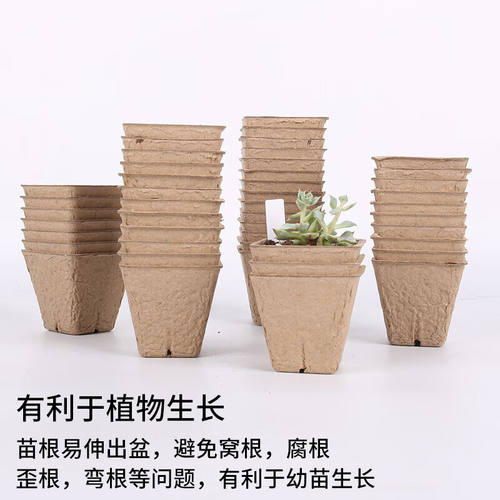 纸浆育苗盆方形种子托盘可降解植物种植盆种子育苗杯100个