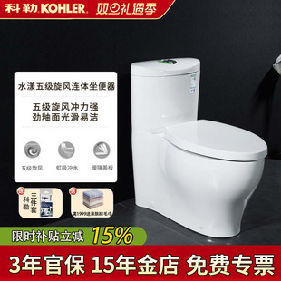 S家用 4165T 科勒马桶坐便器水漾五级旋风双冲连体坐便器K 3869T