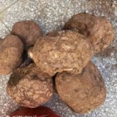 云南原生态茯苓健脾利水消肿定心安神益心新鲜祛湿白茯苓正品