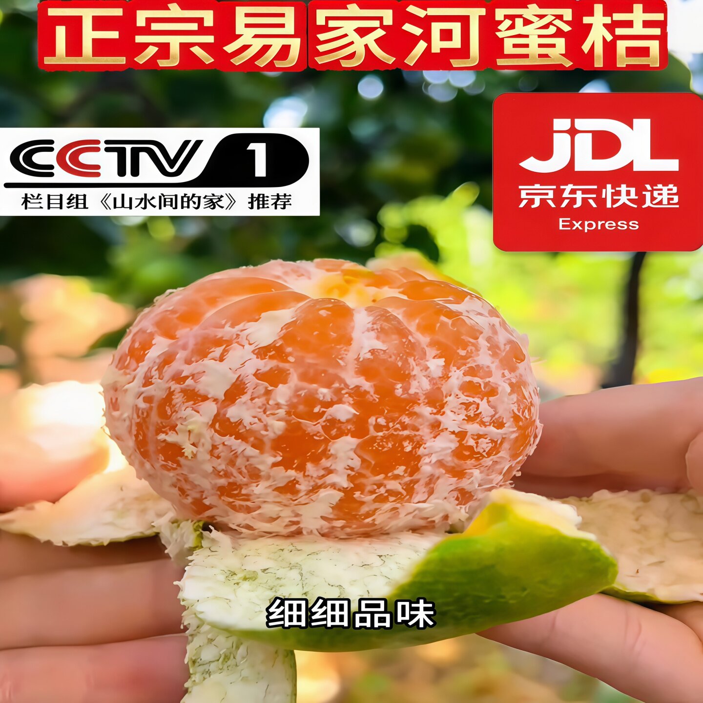 正宗易家河蜜桔子普早江西庐山西海无籽新鲜应季水果高山橘非涌泉