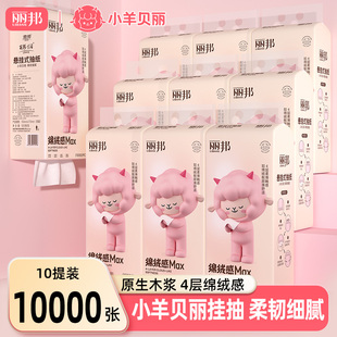 丽邦卫生纸抽纸悬挂式纸巾纸抽实惠家用餐巾纸挂式厨房用纸1000张