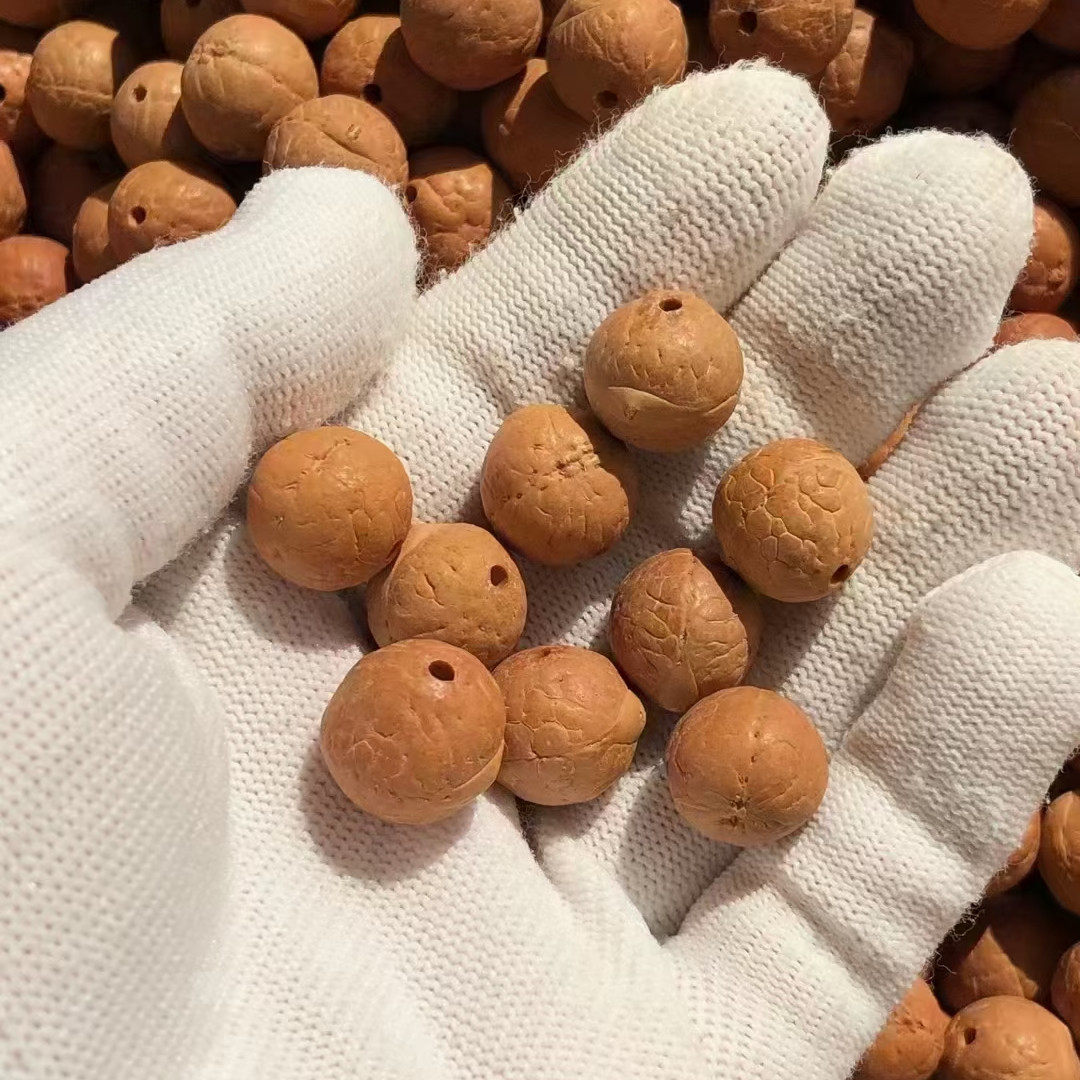 聚善腾玄易阁尼泊尔凤眼菩提散籽菩提