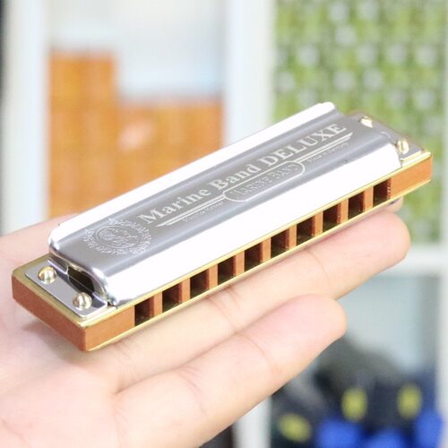 和莱MBD初学者10孔布鲁斯口琴