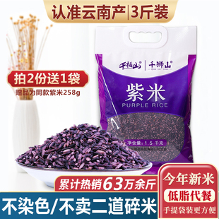 3斤 紫米墨江紫糯米新米黑米糯米云南特产大米五谷杂粮粗粮血糯米