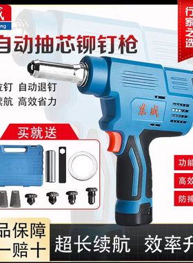 东成充电式抽芯拉铆枪DCPM50(E型)锂电铆钉枪东城12v电动铆接工具