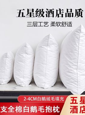 鹅毛羽绒抱枕芯靠垫芯酒店沙发