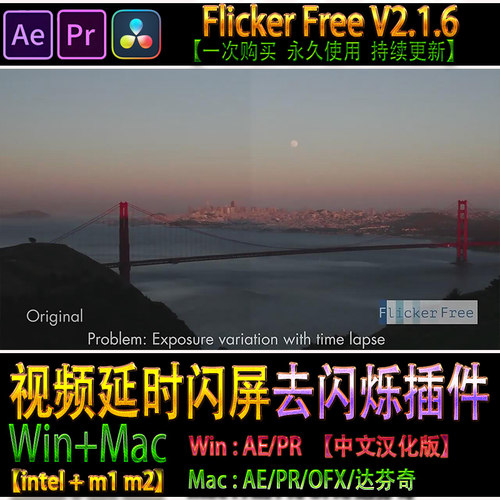 AE/PR/OFX/达芬奇 视频延时闪屏去闪烁插件 Flicker Free 2.1.6