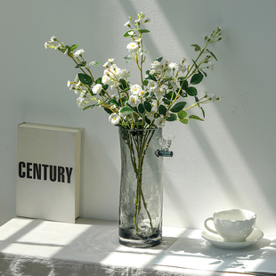 北欧轻奢网红ins风鸟语花香玻璃花瓶透明插鲜花干花客厅餐桌摆件