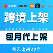 跨境temu代上架lazada店铺装修独立站首页美工设计产品图翻译上传