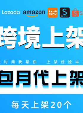 跨境temu代上架lazada店铺装修独立站首页美工设计产品图翻译上传