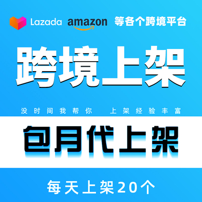 跨境temu代上架lazada店铺装修独立站首页美工设计产品图翻译上传