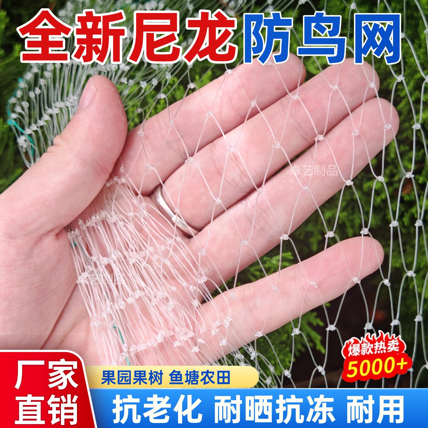 果园大棚加粗尼龙网果树稻谷樱桃葡萄梨树草莓防鸟网鱼塘养殖天网
