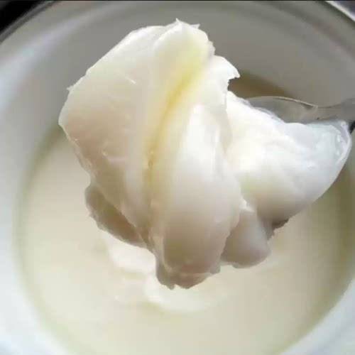 农家猪油恩施特产高山土猪板油土家猪油柴火炼制食用黑猪猪油500g
