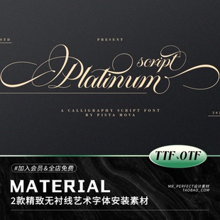 精致优雅奢华贺卡封面标题LOGO设计艺术无衬线英文字体安装包素材