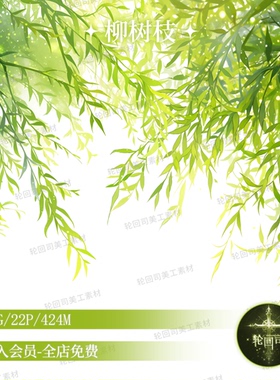 春天清新绿色柳树条枝丫高清png免扣图装饰元素原创可商美工素材