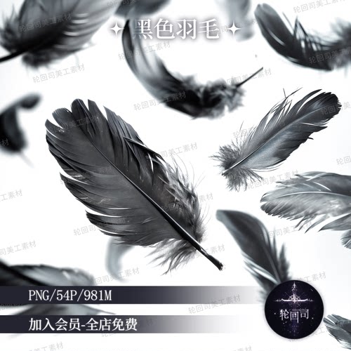 原创可商暗黑哥特式黑色羽毛飘落高清png免扣图饭圈美工设计素材