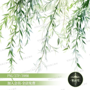 春天清新柳树条垂落枝丫树叶装饰元素PNG免抠图原创可商美工素材