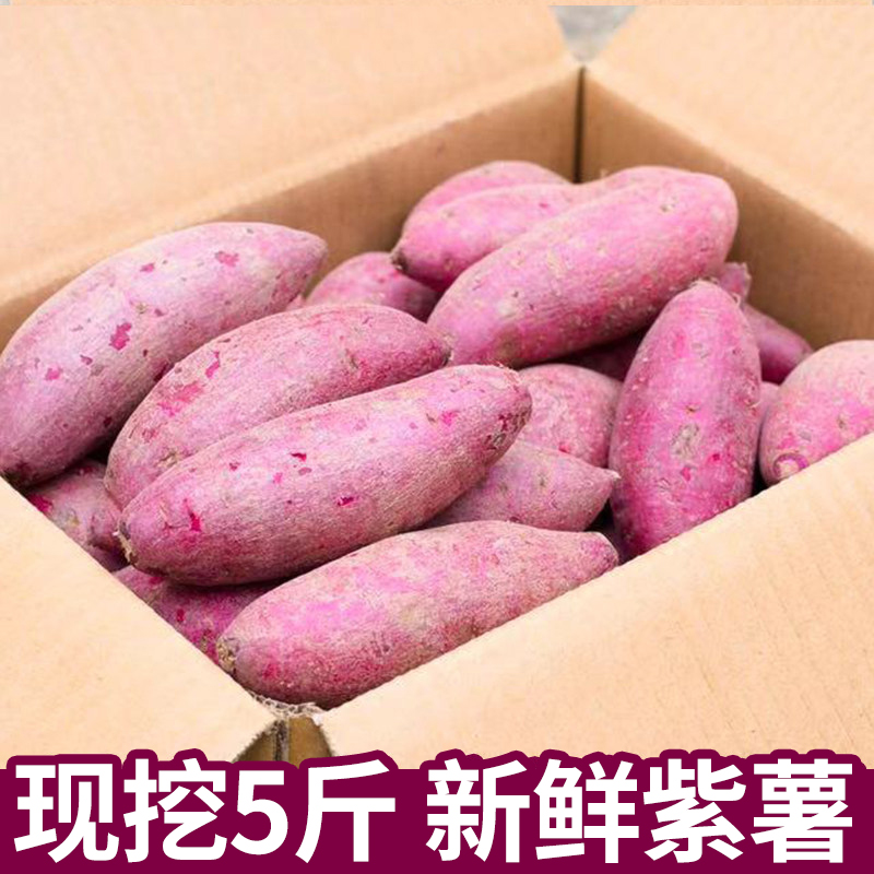 5斤紫薯新鲜甜糯沙地现挖小红薯农家自种板栗红薯越南当季小番薯