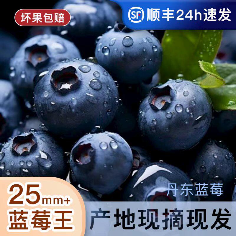 【顺丰包邮】丹东L25蓝莓花香蓝莓