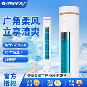 格力电风扇无叶风扇家用摇头节能立式遥控定时大风量FL-0906Bh