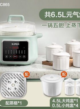 SUPOR/苏泊尔DZ45FC865炖盅隔水炖家用煲汤电蒸炖砂锅陶瓷全自动