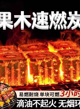 速燃炭烧烤碳木炭无烟碳煤炭果木炭易燃水烟助燃家用引火煮茶竹炭